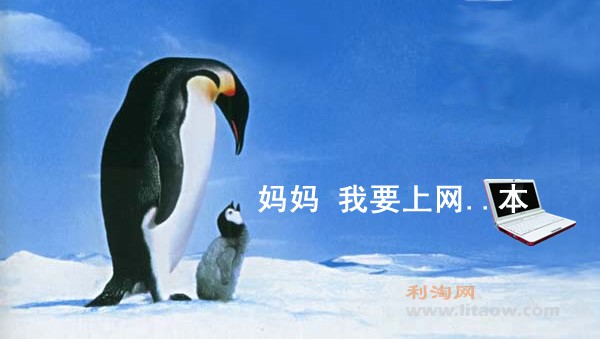 qqbook-icebin.jpg